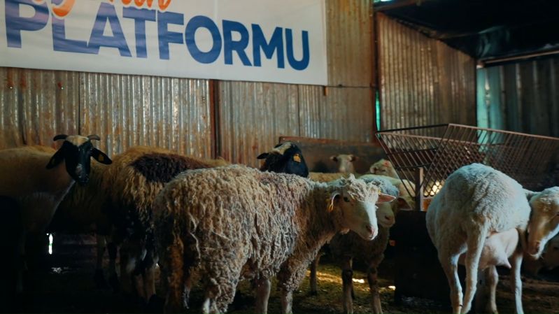 Türkiye'nin Kurban Platformu