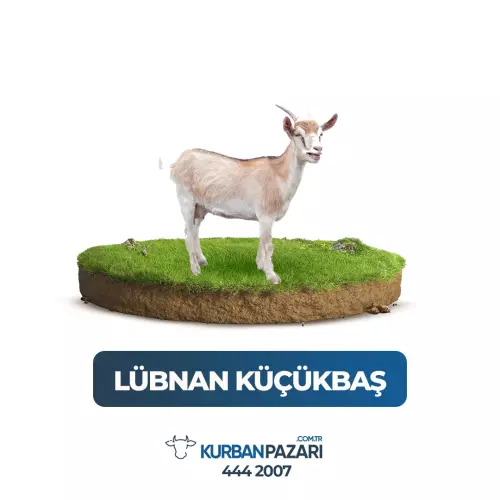 Lübnan Kurban