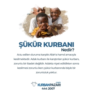 Şükür Kurbanı