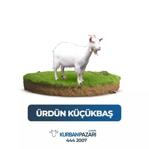 Ürdün Kurban