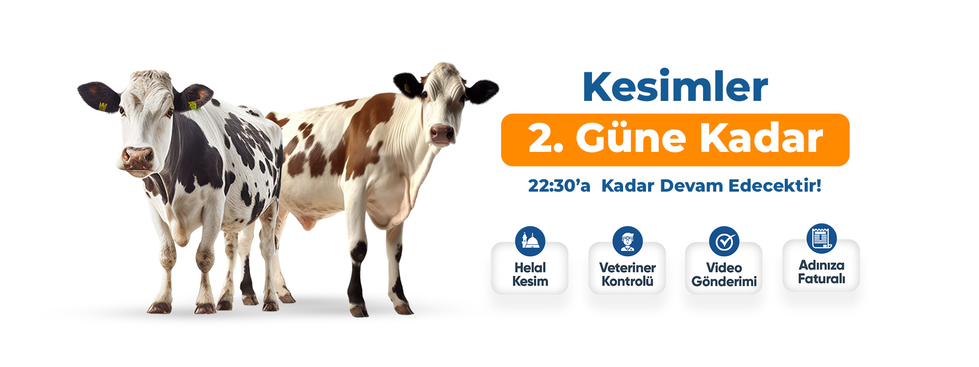 kesimler1920X720PX.jpg-4.jpg