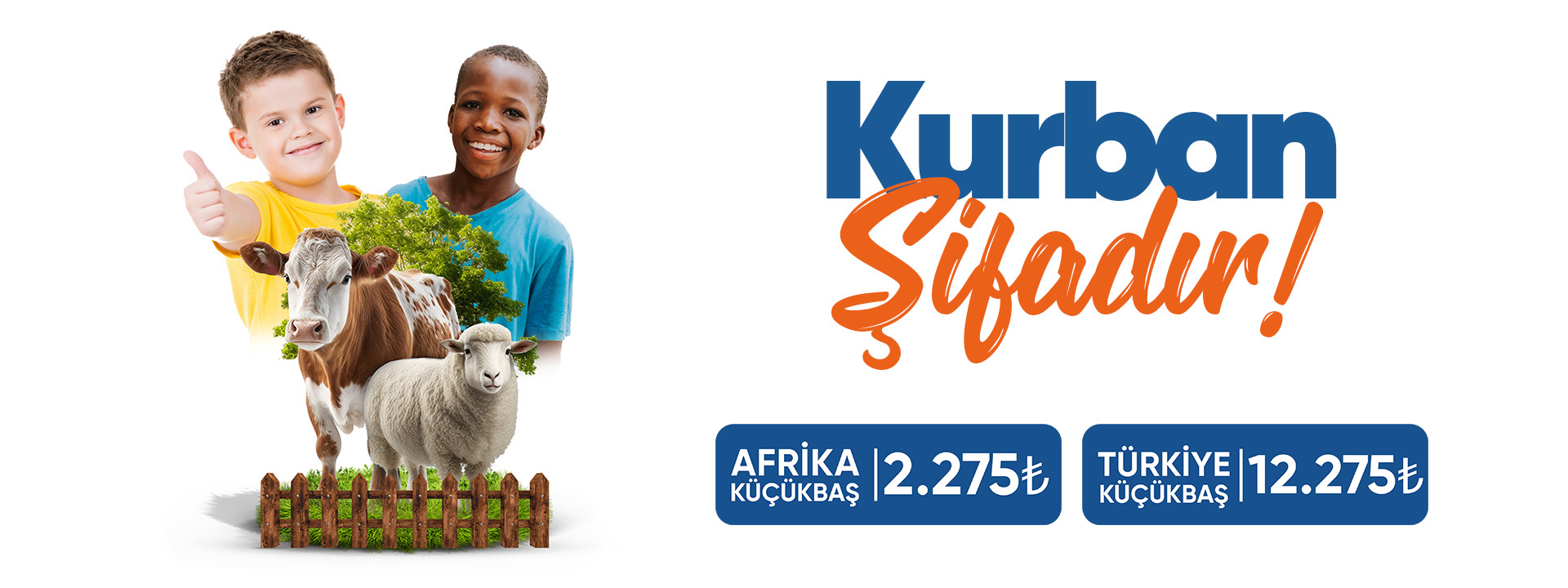 Kurban Şifadır