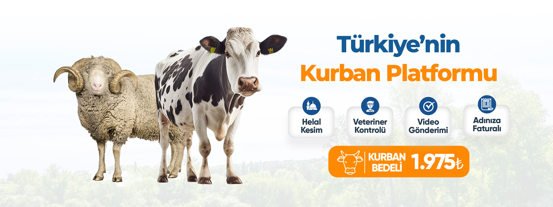 kurbanplatformu