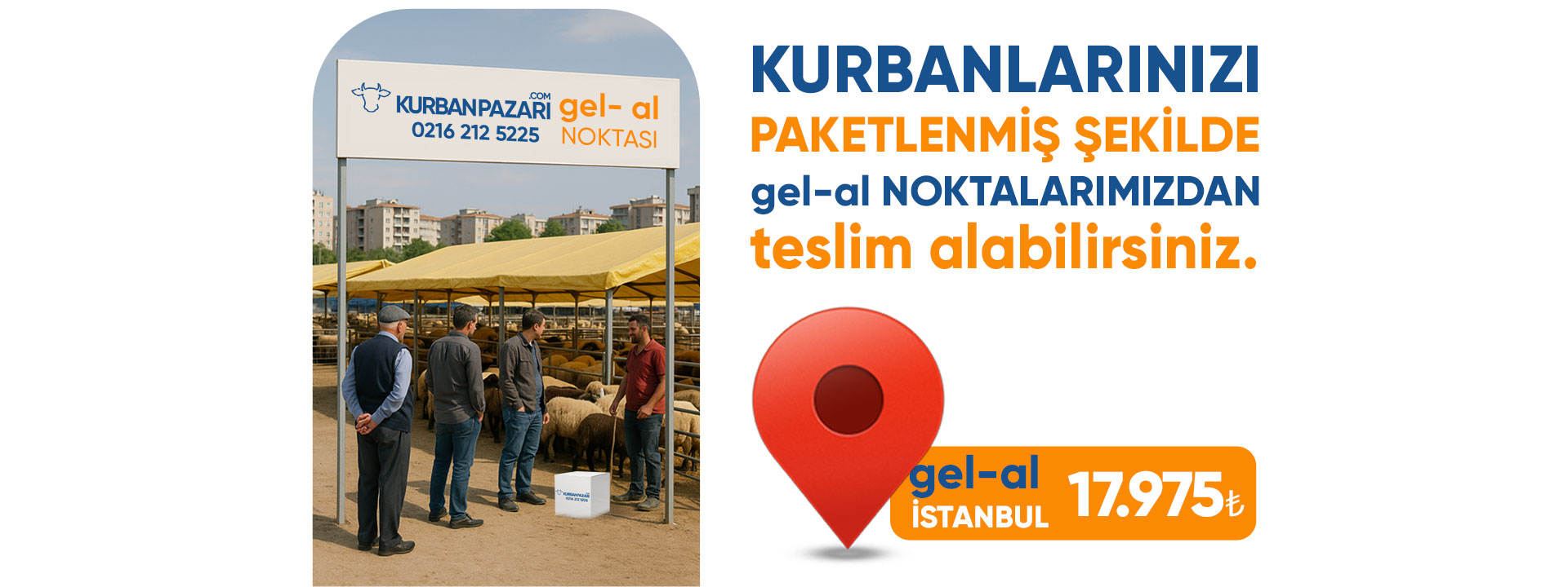 gelipal