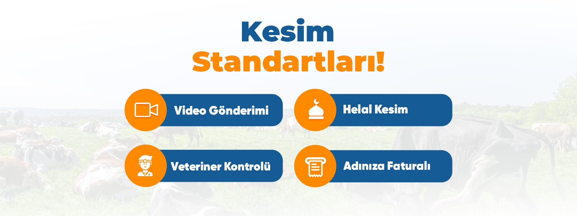 kesinstandart